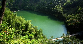 浙西大峡谷旅游浙西大峡谷旅游(浙西大峡谷有(yǒu)什么好玩)