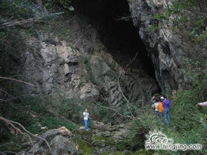 浠水三角山(shān)旅游风景區(qū)观后感