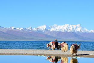 纳木(mù)错的旅游资源评价(纳木(mù)错旅游景点介绍)