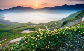 河南夏季适合旅游的地方