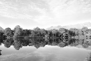 黄盖湖(hú)旅游