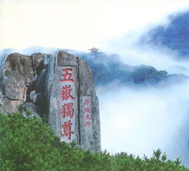 泰山(shān)旅游是上市公司吗(泰山(shān)體(tǐ)育产业集团有(yǒu)限公司上市了吗)