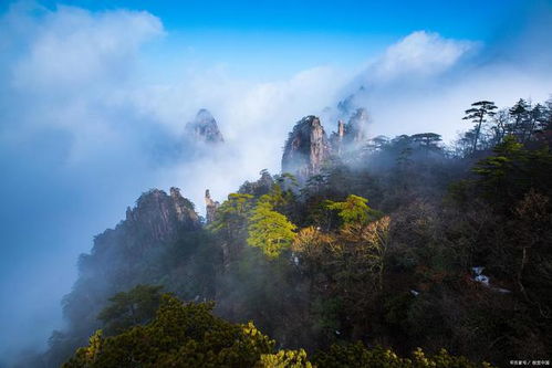 黄山(shān)的主要旅游功能(néng)