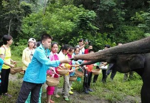 适合带娃旅游的亲子路線(xiàn)