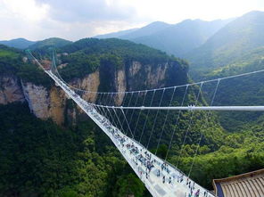 到重庆旅游怎么找当地的导游