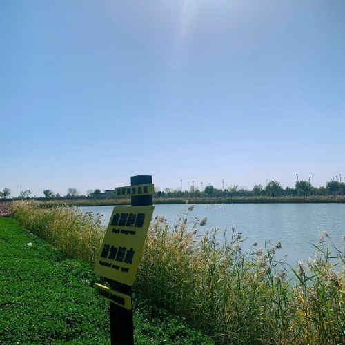 滹沱河生态旅游风景區(qū)在哪里(滹沱河生态旅游景區(qū)哪里好玩)