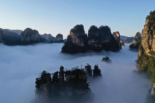 到重庆旅游怎么找当地的导游