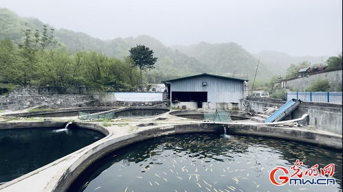 银厂沟村旅游