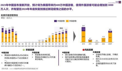 2023旅游人数