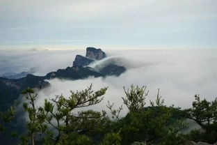 洛阳伏牛山(shān)旅游度假區(qū)