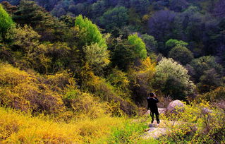 淄博鲁山(shān)旅游