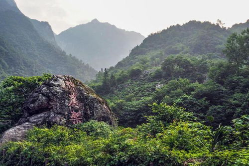 仿山(shān)旅游區(qū)要门票在哪个门(仿山(shān)旅游區(qū)的介绍)