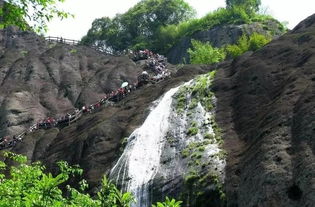 武夷山(shān)旅游优势在哪里(福建武夷山(shān)发展森林旅游业的优势)