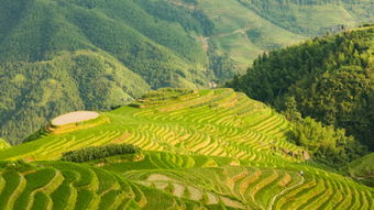 广西龙胜梯田休闲农业与乡村旅游