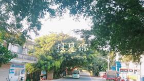 广西北海环岛旅游公路