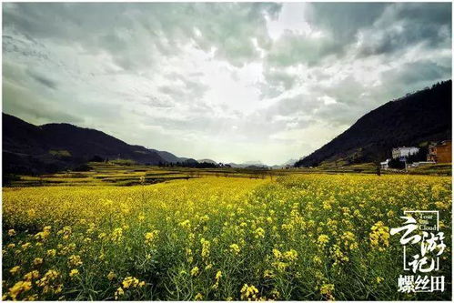 黔西南旅游村