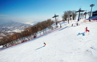 玉龙滑雪(xuě)场旅游