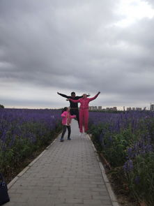 10月1鲅鱼圈旅游(鲅鱼圈必去十大景点)