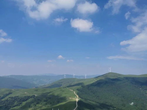 甘南适合老年人去旅游吗(我想问问甘南旅游老人适合吗)