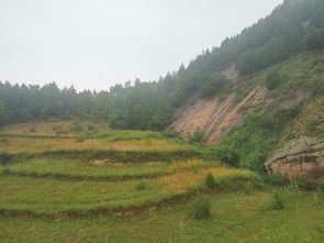 黄岛九龙山(shān)景區(qū)旅游