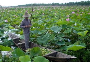 生态园旅游介绍