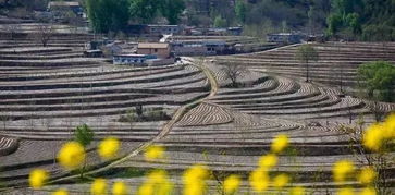 铜川旅游指南