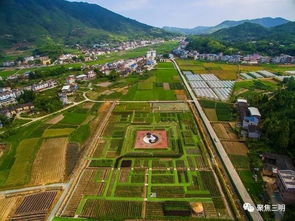 永安上坪旅游(永安上坪花(huā)海的路線(xiàn)怎么走)