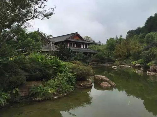 铁山(shān)坪森林公园旅游