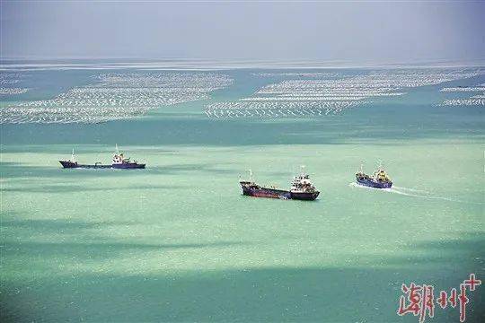 饶平海岛旅游