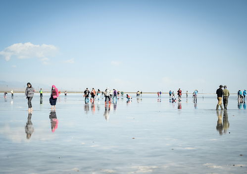 青海旅游团公司有(yǒu)哪些(青海湖(hú)旅行团青海湖(hú)旅游有(yǒu)限公司)