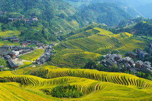 龙脊梯田旅游适合几月去