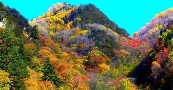 重庆到四川旅游