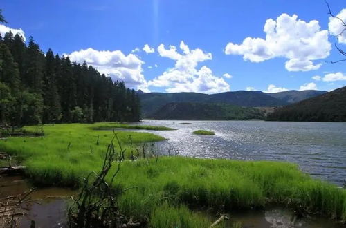 云南夏季旅游哪里好