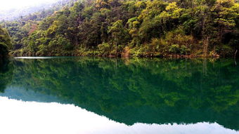 花(huā)都芙蓉旅游度假區(qū)怎么去