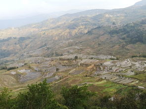 红河县旅游(红河县旅游景点有(yǒu)哪些)