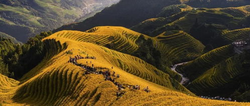 龙脊梯田旅游适合几月去