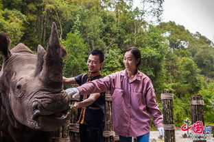 普洱地區(qū)旅游年收入