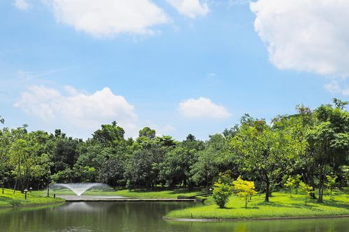 江苏省夏天旅游的好地方(江苏有(yǒu)哪些避暑胜地九大避暑旅游胜地)