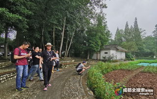 网红乡村旅游