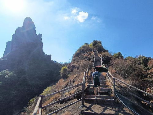 四川旅游风景線(xiàn)路推荐(四川自驾游5天最佳線(xiàn)路)