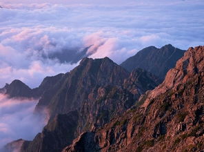 黄山(shān)旅游资讯网(黄山(shān)旅游网的介绍)