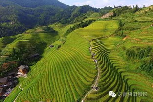 龙脊梯田旅游适合几月去