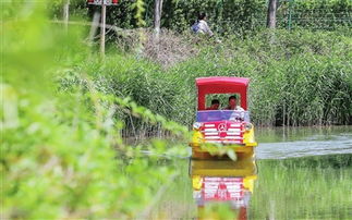 近郊游热点与生态旅游结合(有(yǒu)什么好玩的旅游景点)