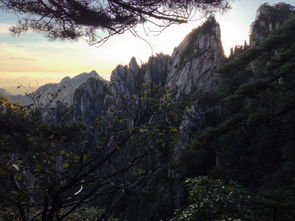 黄山(shān)三日游旅游报价