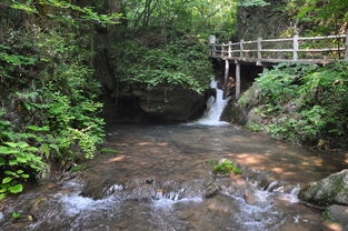 栾川重渡沟能(néng)用(yòng)旅游年票吗(2021年洛阳旅游年票景点包括重渡沟和老君山(shān)吗)