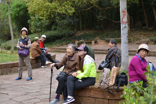 老年旅游市场存在的问题(老年旅游消费市场存在哪些问题)