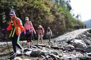 驴友团旅游产品(是买旅游责任险还是旅游意外险)