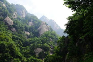 洛阳伏牛山(shān)旅游度假區(qū)