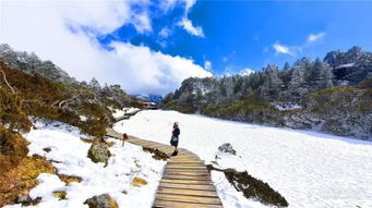 冬天去云南旅游(冬天适合去云南吗)