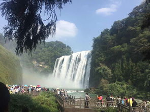 黄果树旅游住哪里好